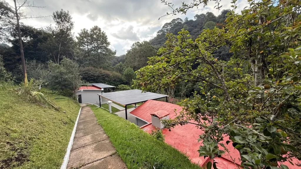 Granja o Finca en Pachalí en Venta - imagen 10
