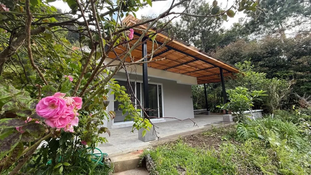 Granja o Finca en Pachalí en Venta - imagen 5