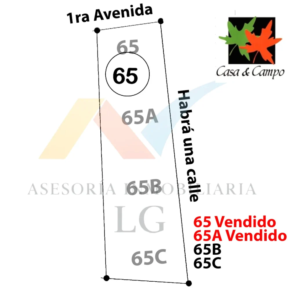 Terrenos en Casa y Campo Carretera a El Salvador Venta - imagen 4