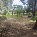 Casa En Venta Con Amplio Terreno En Fraijanes - imagen 2