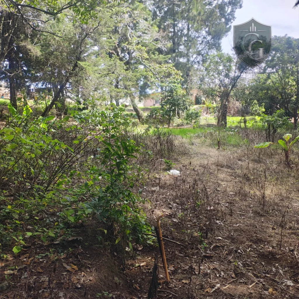 Casa En Venta Con Amplio Terreno En Fraijanes - imagen 3